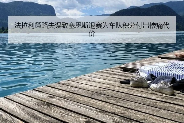 fa-la-li-ce-lve-shi-wu-zhi-sai-en-si-tui-sai-wei-che-dui-ji-fen-fu-chu-can-tong-dai-jia-2-380.jpg